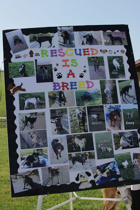 bark_park_060714_6463x