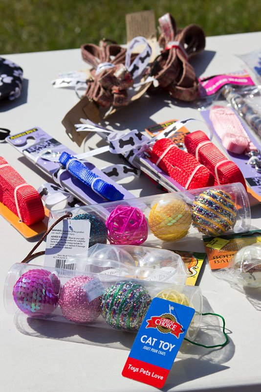 bark_park_060714_6462x