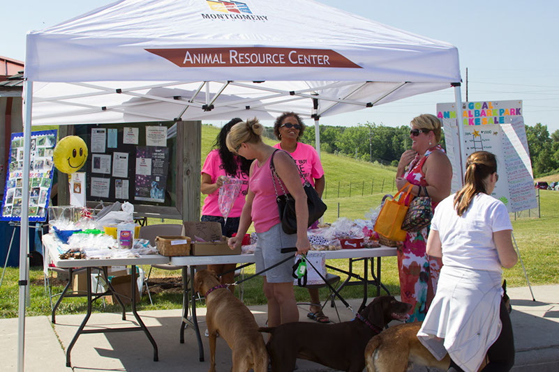 bark_park_060714_6449x