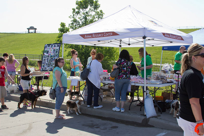 bark_park_060714_6450x