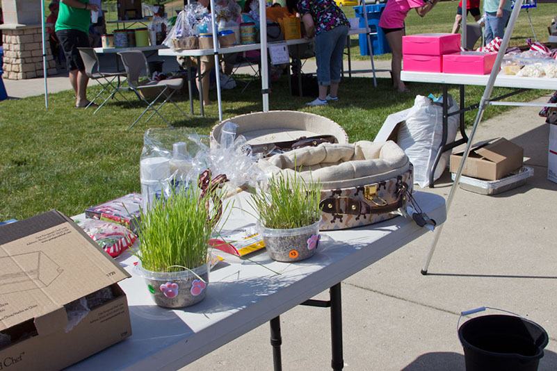 bark_park_060714_6461x