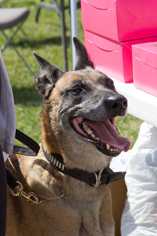 bark_park_060714_6466x