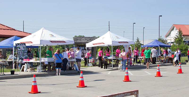 bark_park_060714_6458_cropx