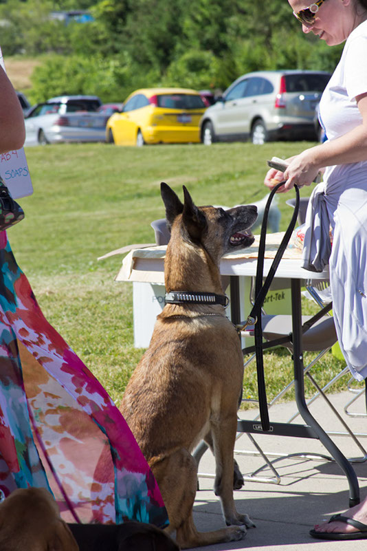 bark_park_060714_6454x
