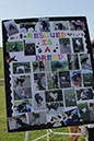 bark_park_060714_6463x