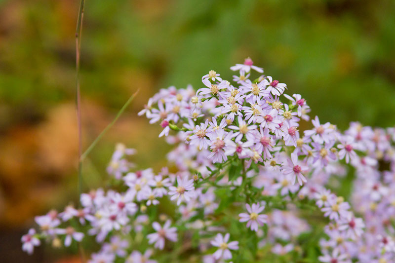 hill_and_dale_1644_cropx